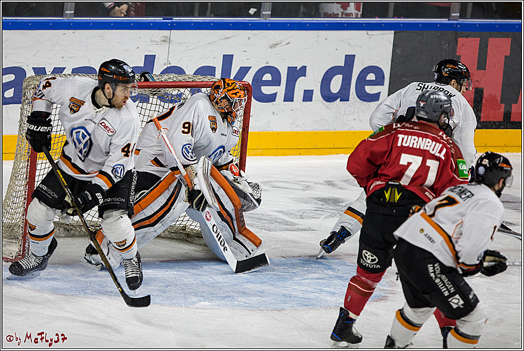 DEL, Koelner Haie - Grizzlys Wolfsburg, 21.03.2017